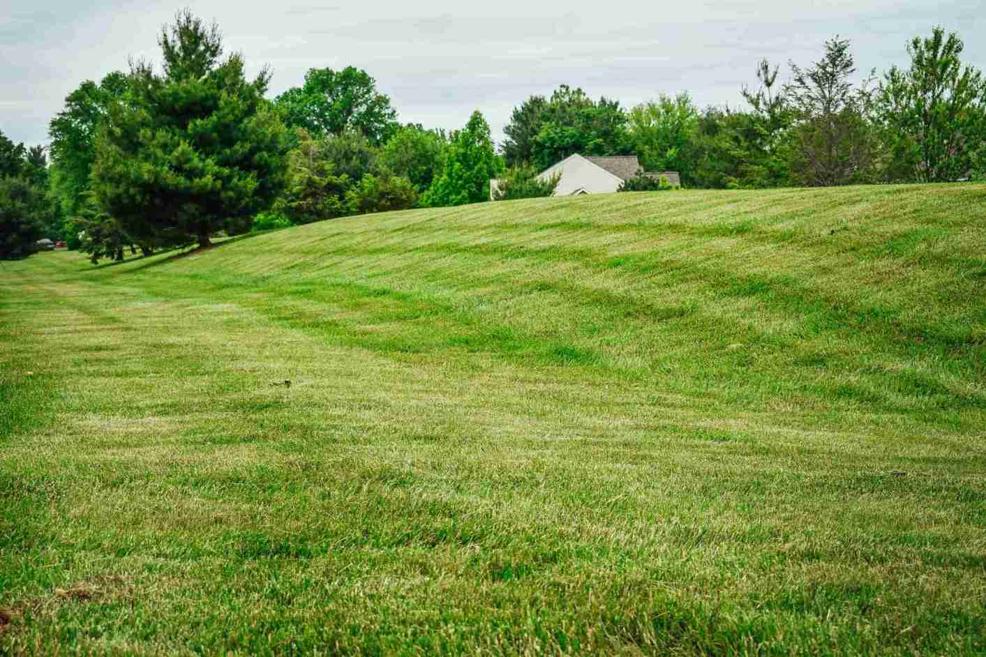 Freshly mowed hillside lawn in Chester County