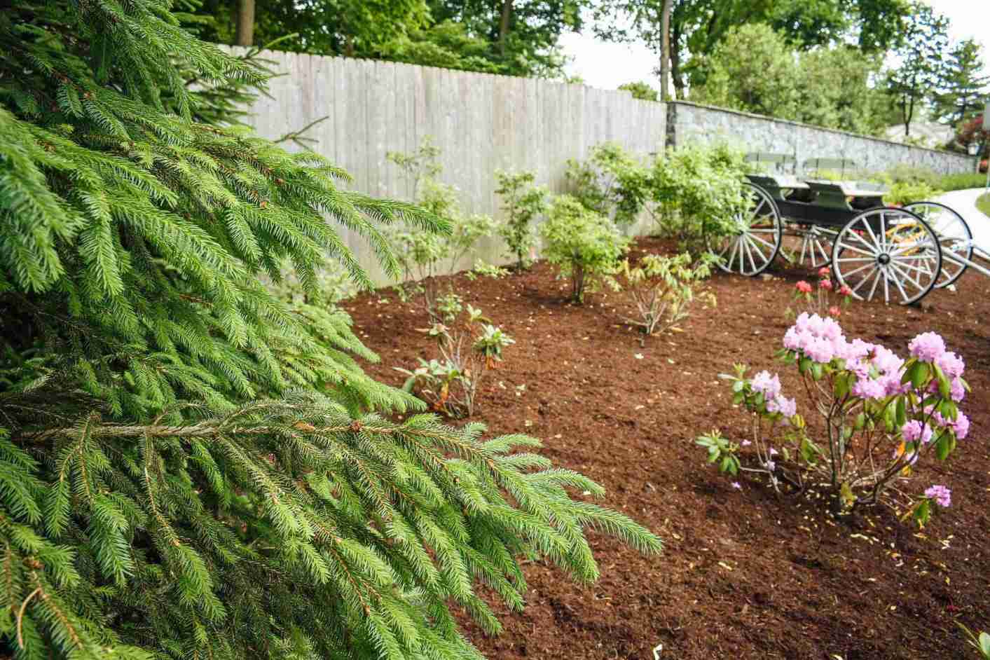 Mulched garden bed protected from Chester County summer heat