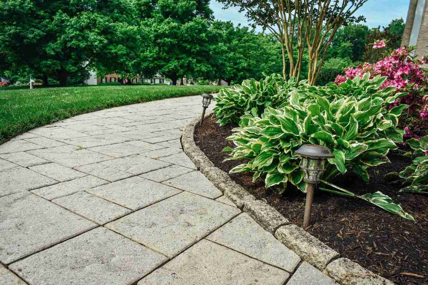 Landscape Lighting project 1