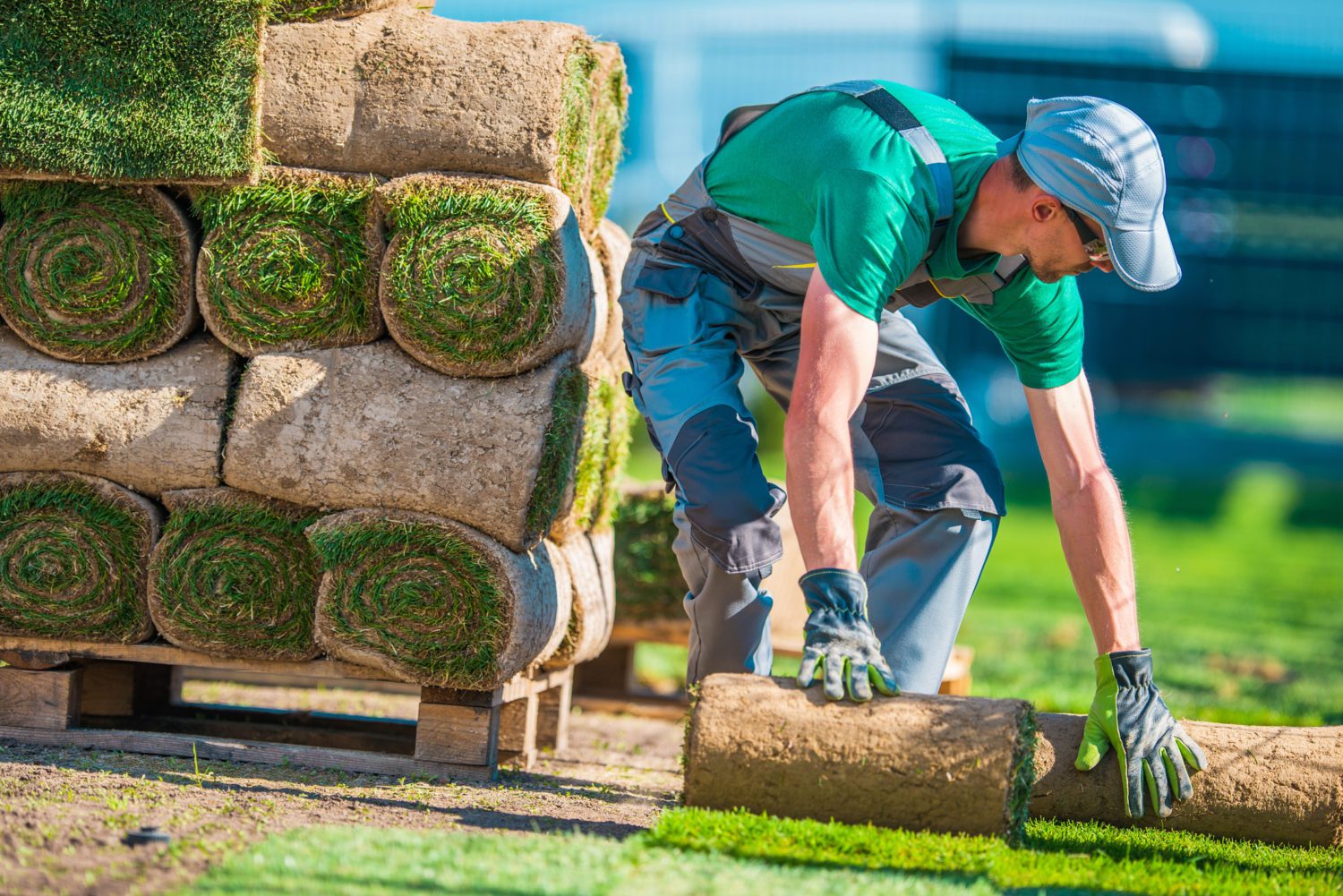 Sod installation