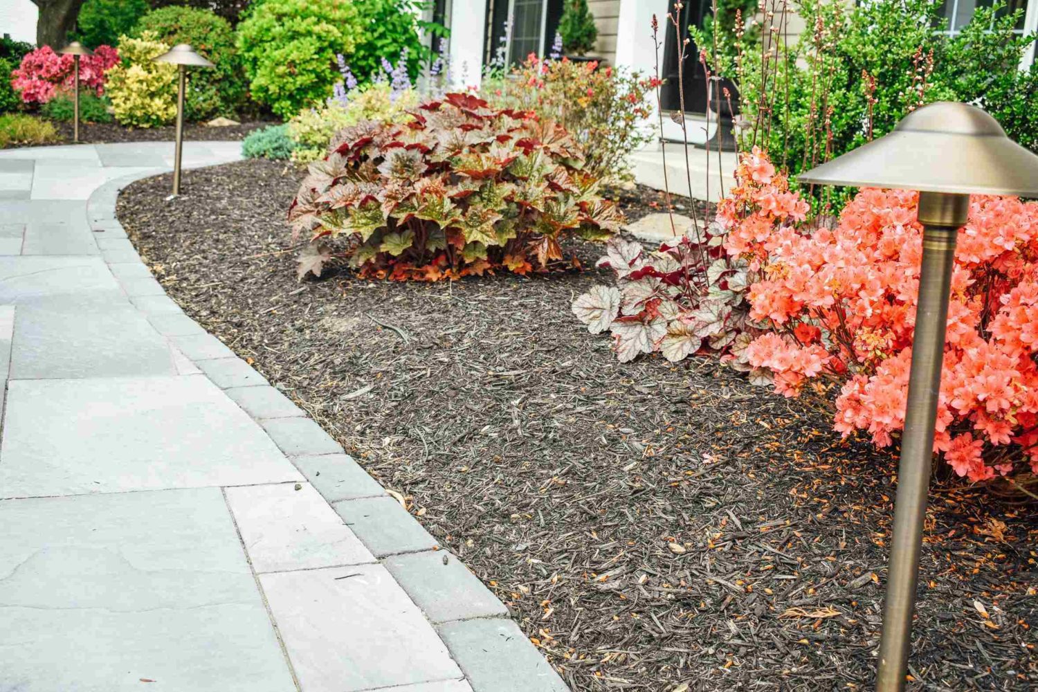Landscape Lighting project 3