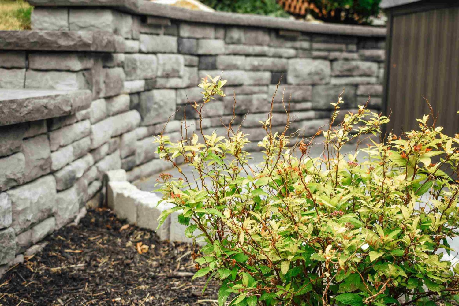 Solving Garden Drainage Issues in Chester County