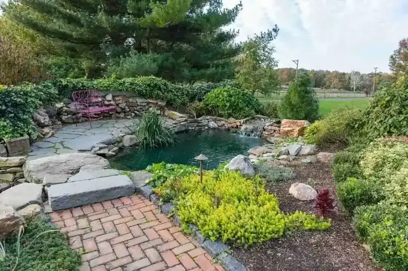 Koi pond with waterfall feature integrated into a drainage solution