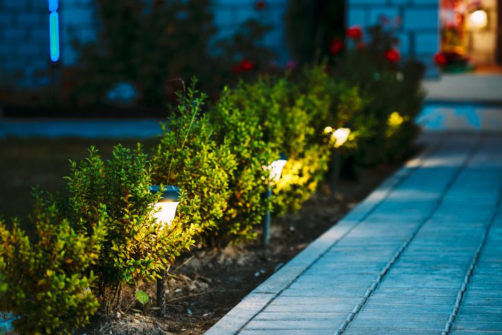 Night View Of Flowerbed With Flowers Illuminated By Energy-Saving Solar Powered Lanterns Along Path Causeway On Courtyard Going To The House