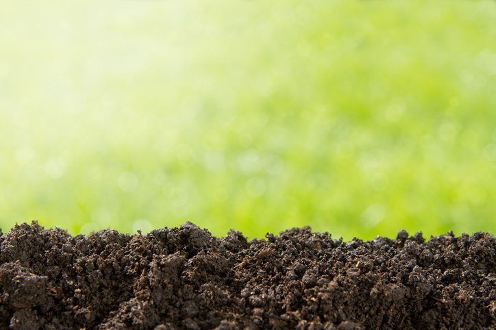 Amending Your Soil