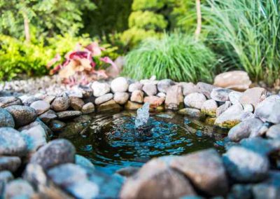 Small backyard pond with bubbling water feature surrounded by natural stone and ornamental grasses