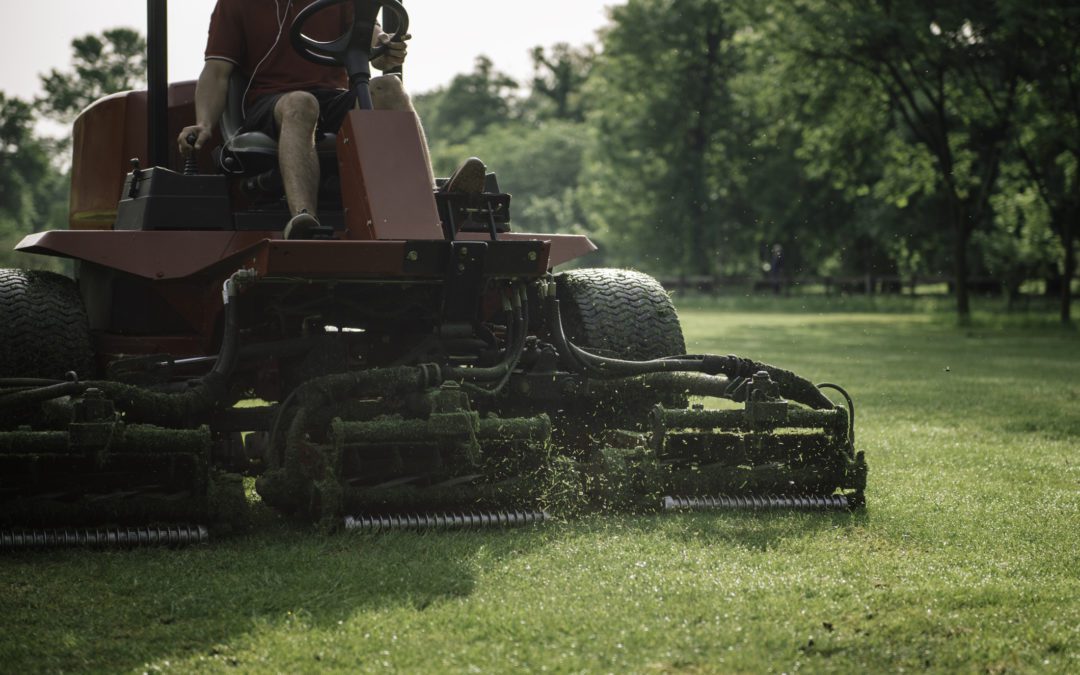 How to Find a Qualified Landscaper?