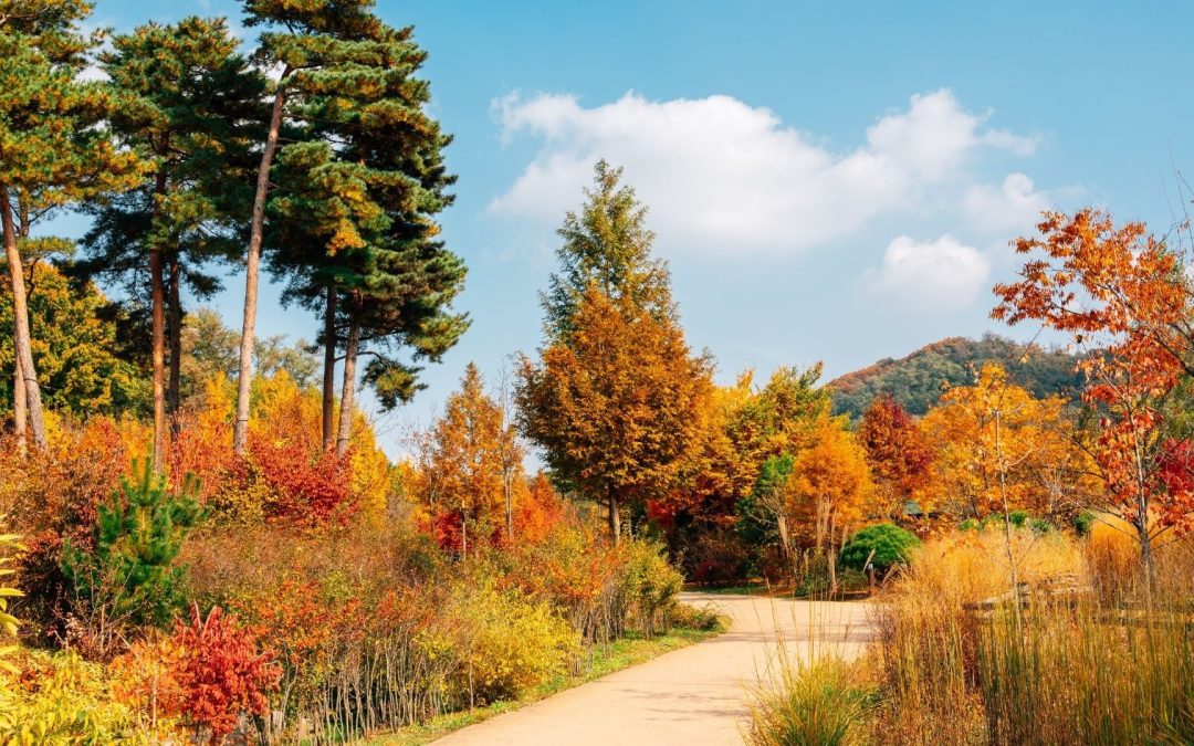 Winter-Proof Your Chester County Landscape