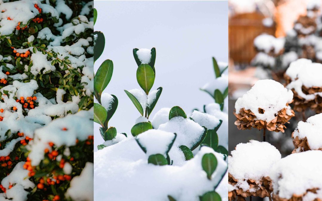 Is Your West Chester Property Ready for Winter Drainage?