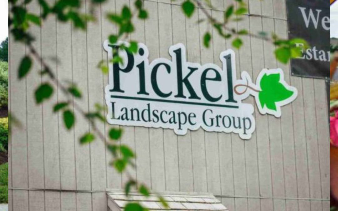 Thank You for a Great Year – Let’s Grow Even More in 2026